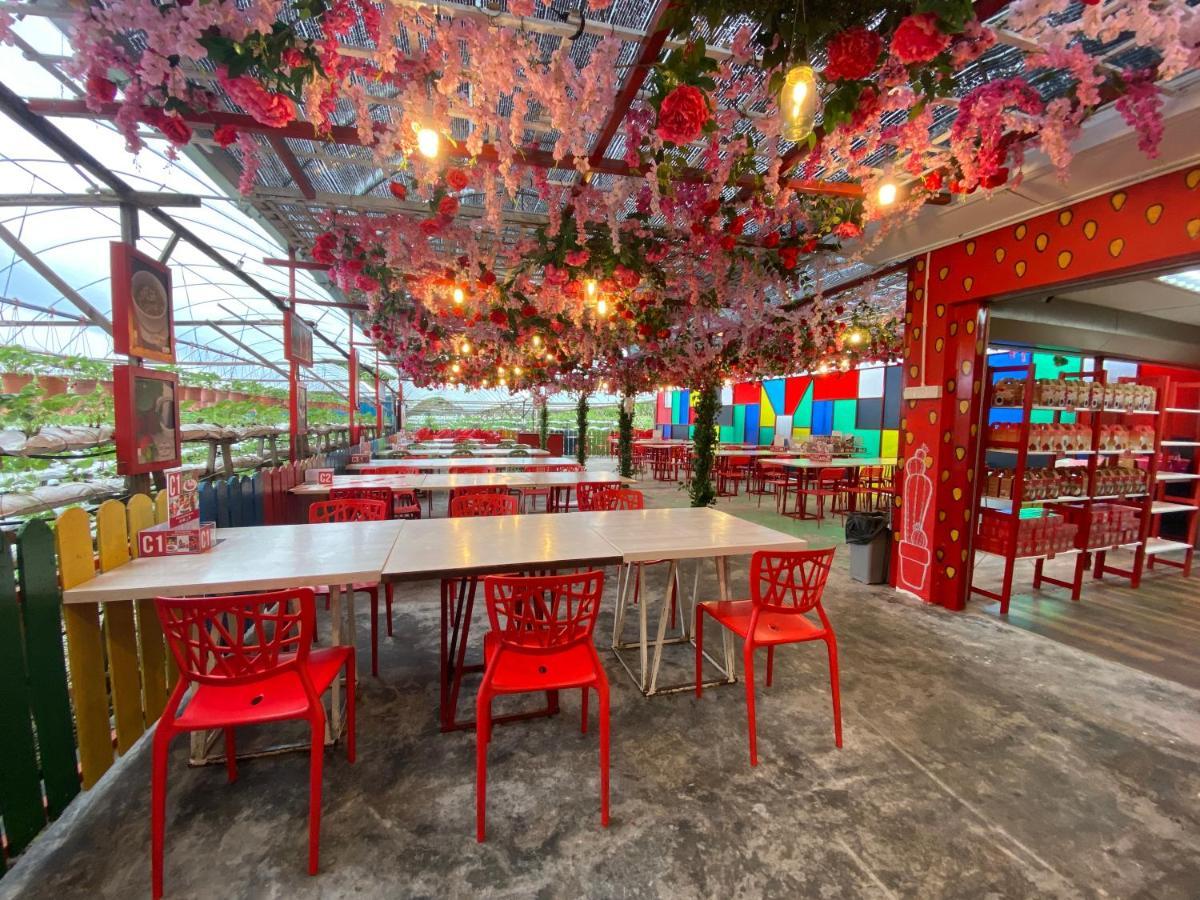 Aiza Homestay Opposite Abang Strawberry Taman Sedia Tanah Rata Buitenkant foto