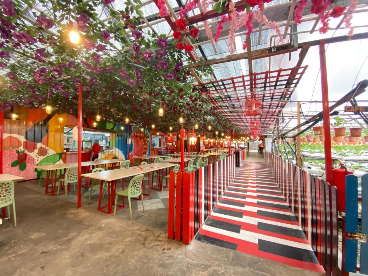 Aiza Homestay Opposite Abang Strawberry Taman Sedia Tanah Rata Buitenkant foto
