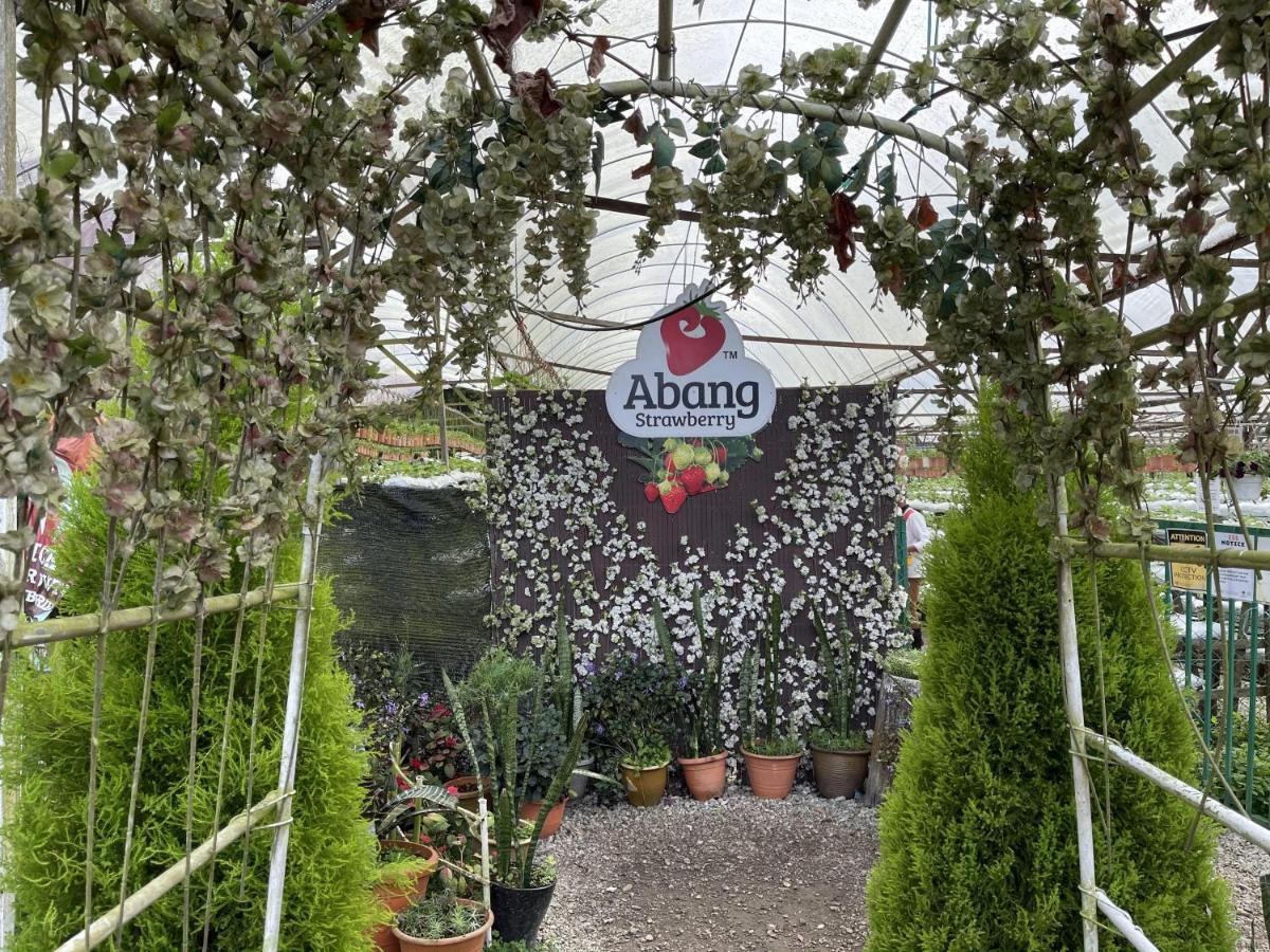 Aiza Homestay Opposite Abang Strawberry Taman Sedia Tanah Rata Buitenkant foto