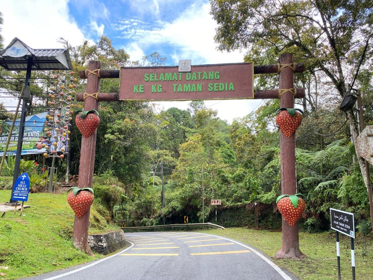 Aiza Homestay Opposite Abang Strawberry Taman Sedia Tanah Rata Buitenkant foto
